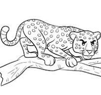 tekeningen dieren