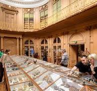 geschiedenis musea