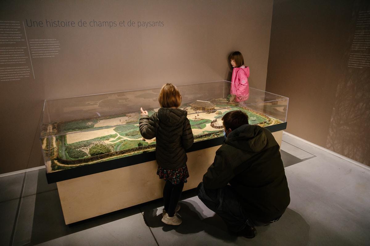 provinciaal archeologisch museum