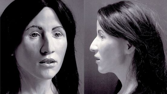 journalistiek onderzoek