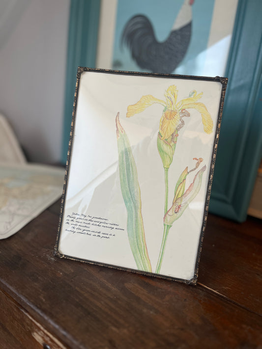 antieke prenten en gravures