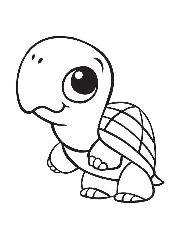 schildpad kleurplaat