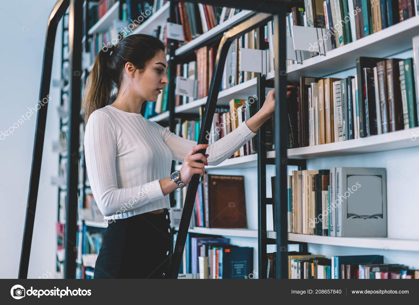 bibliothecaris