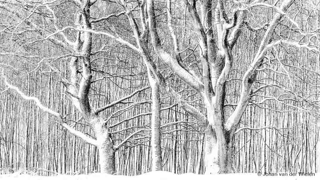 pentekening