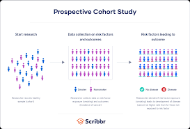 cohort onderzoek